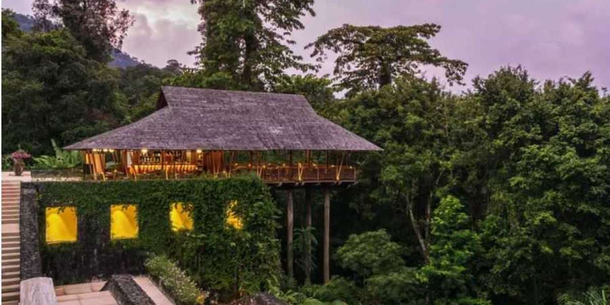 Top Jungle resorts Around the World