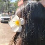 Archie Profile Picture