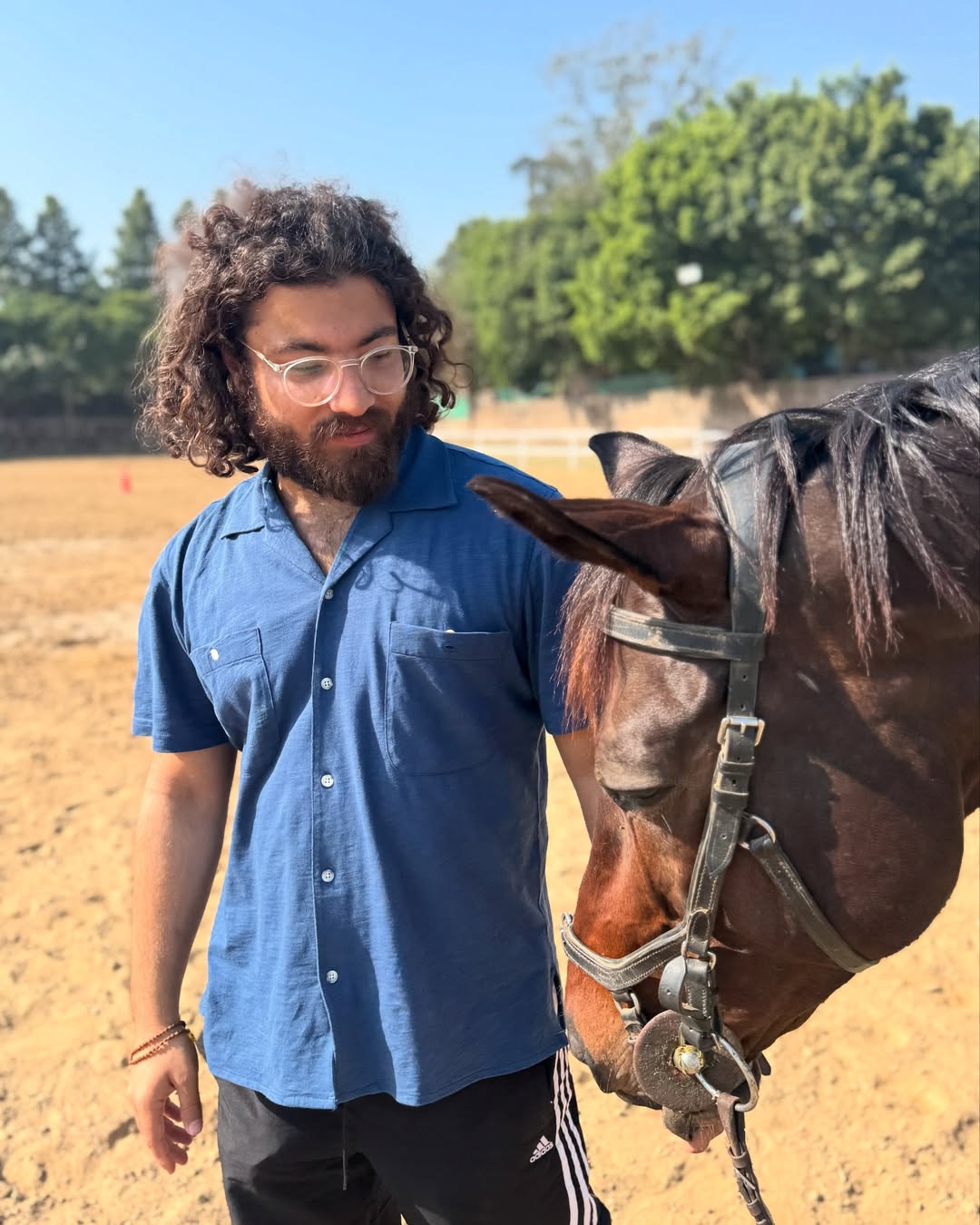 Saddle Up Sunday – Beginner Equestrian Clinic Image 3