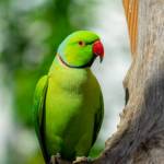 Testing community Profile Picture